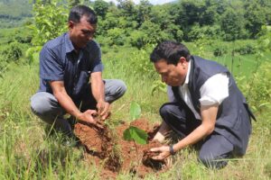 रामपुर नगरपालिका ५ द्वारा फलफूलका विरुवा गोडमेल संगै वृक्षारोपण