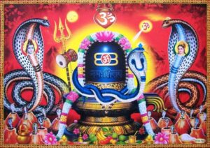नागको पूजा गरी आज नाग पञ्चमी मनाइँदै